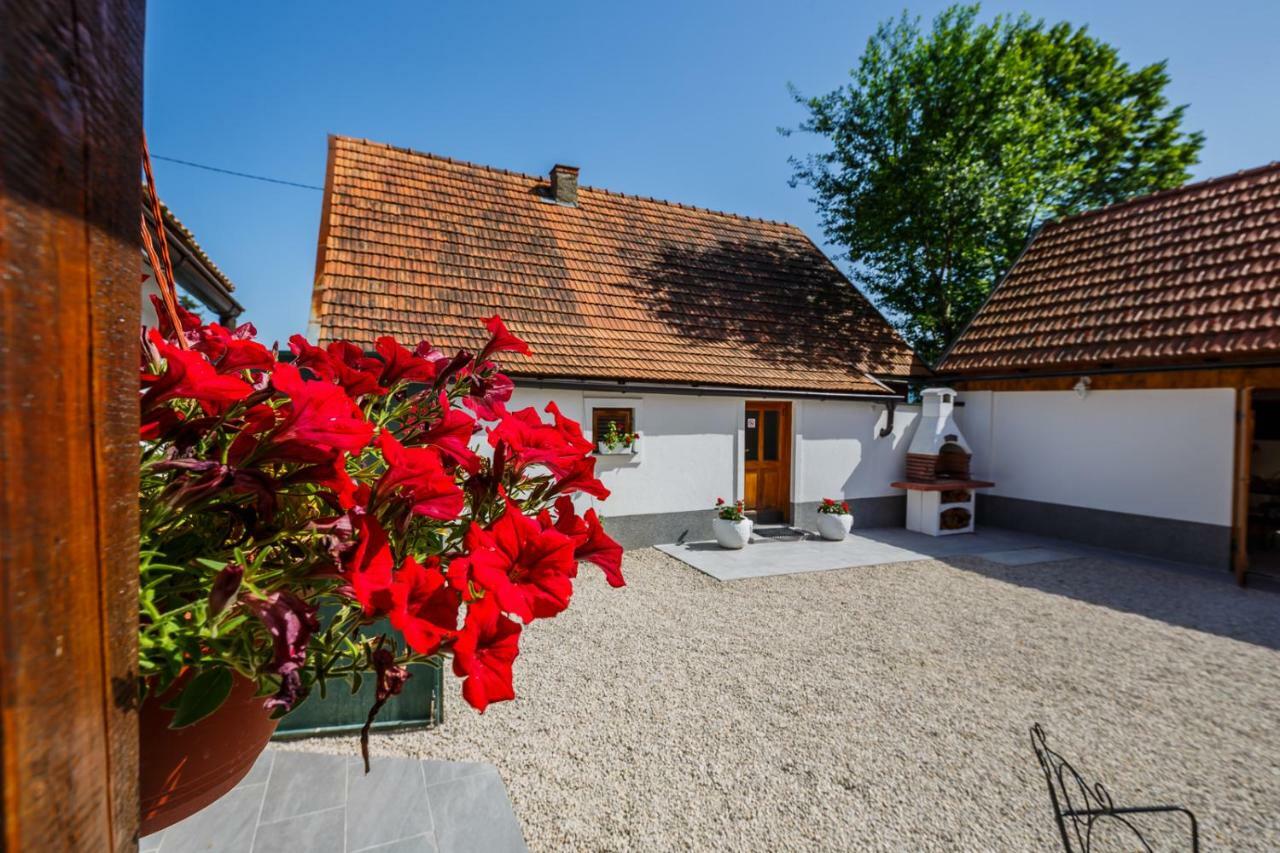 Plaški Beautiful Cottage With Heated Pool For 22 Ppl מראה חיצוני תמונה